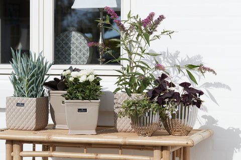 Lene Bjerre Design Flower pots