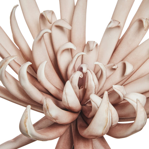 Happia foam flower rose H25 cm