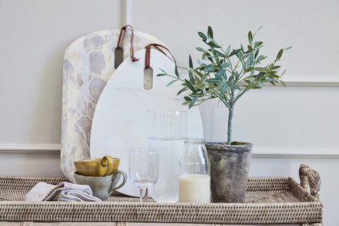 Flora Olive tree 44 cm.