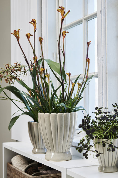 Shenella flower pot Ø10 H12
linen