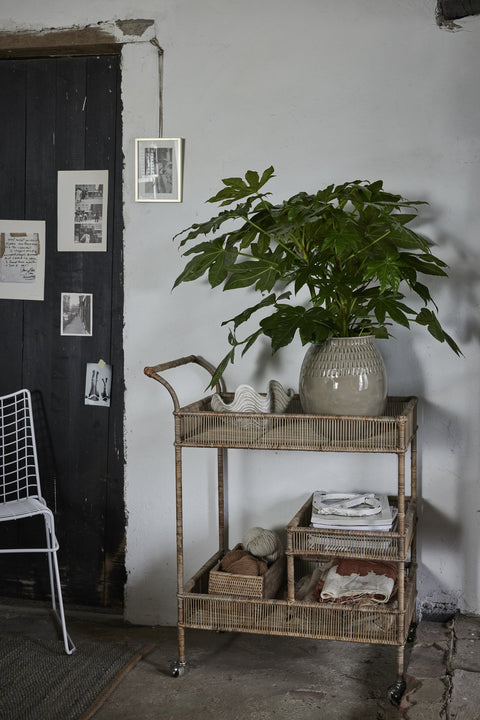 Sheline seashell bowl 25x21.5 cm. linen