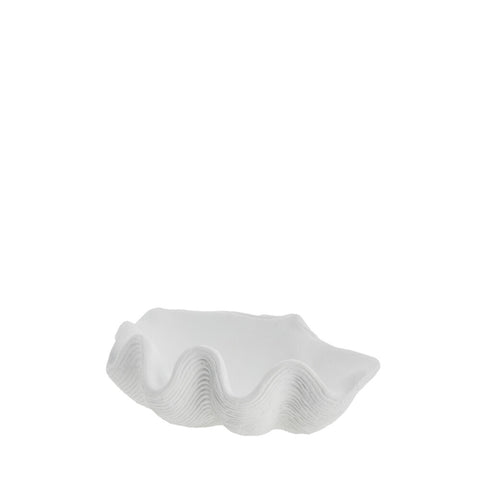 Shella decoration 25x18.5 cm. white