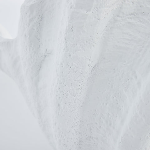 Shella decoration H23 cm. white