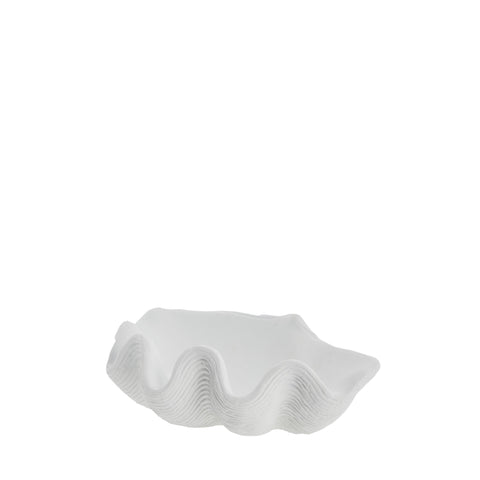Shella decoration 25x18.5 cm. white