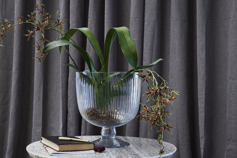 Carla  vase H20 cm. clear