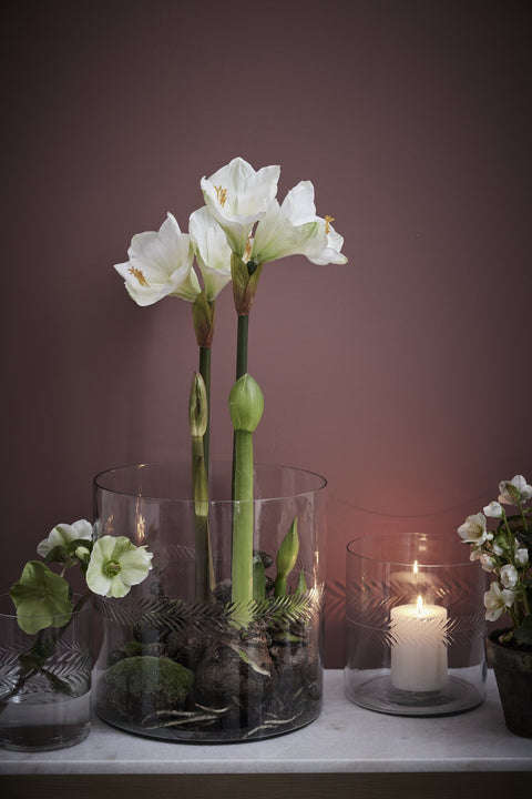 Carla  vase H20 cm. clear
