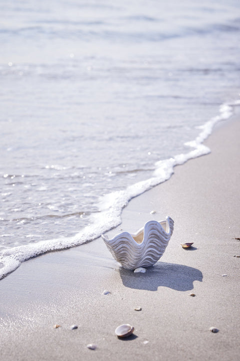 Molli guest towel 50x30 cm. linen