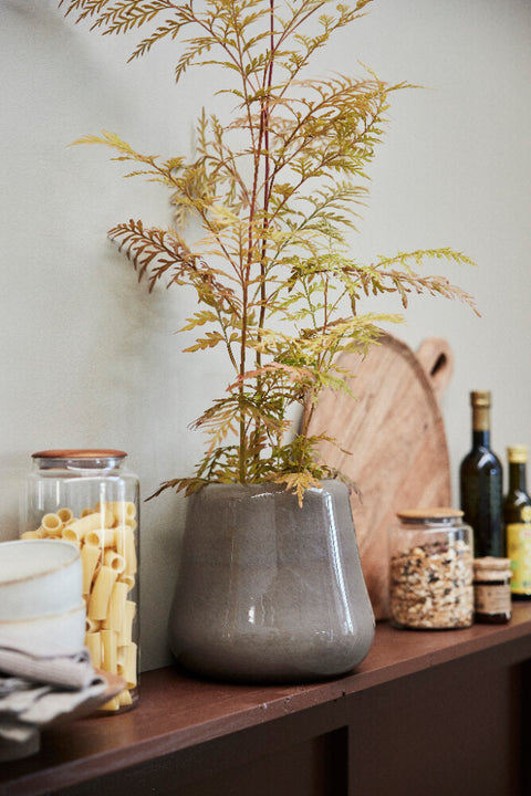 Merle  plate H2.5 cm. nature