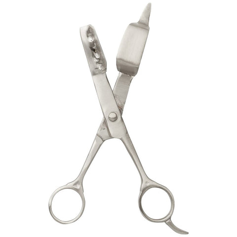 Dana silver scissor