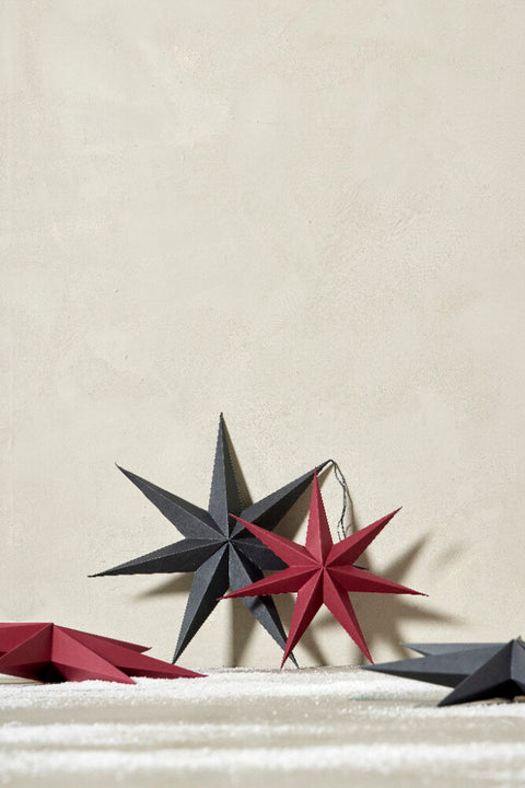 Pappia paper star H40 cm. pomegranate