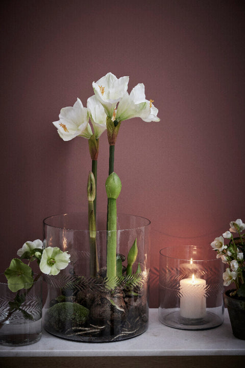 Carla  vase H16.5 cm. clear