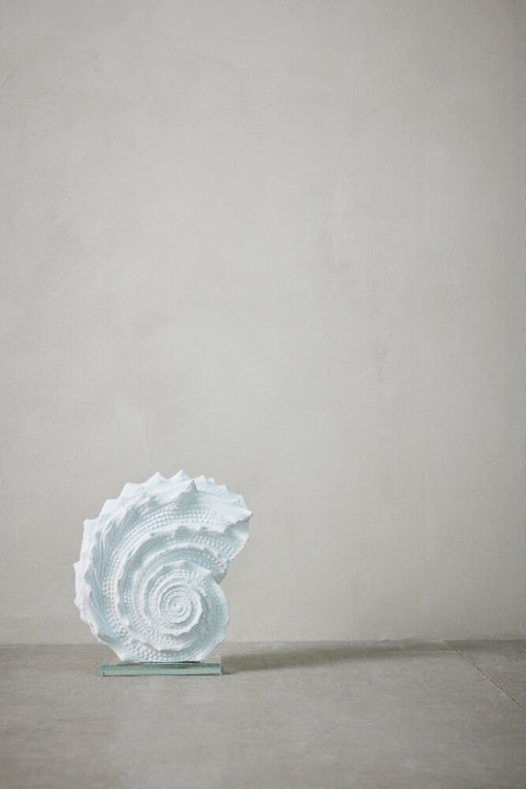 Shella decoration H27.5 cm. white