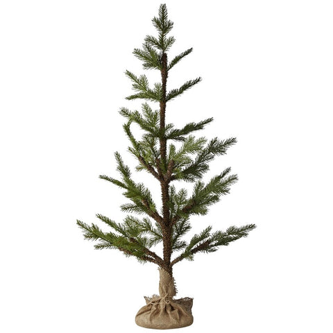 Pinea pine 110 cm.