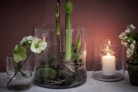 Carla  vase H16.5 cm. clear