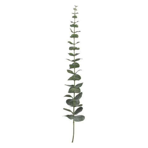 Flora eucalyptus H64 cm. dusty green
